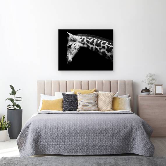 Tablou Canvas - Calf, Girafa, Marime: 50 x 70 cm - 3- Roveli