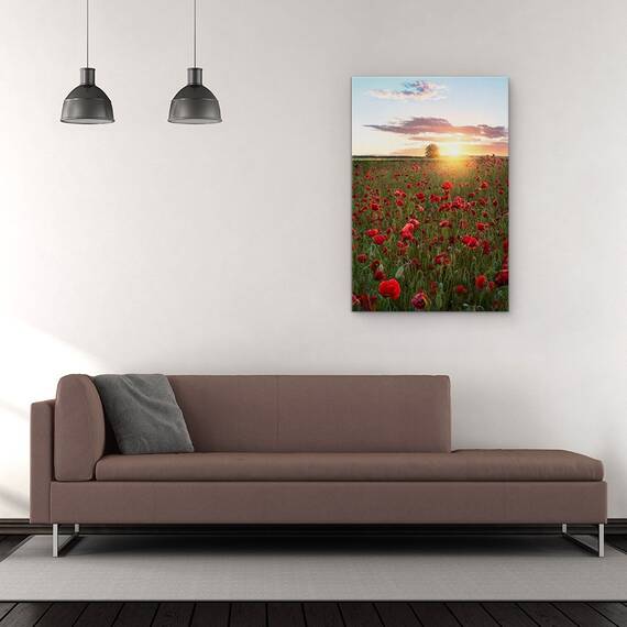 Tablou Canvas - Campuri De Mac Din Suedia, Flori, Maci, Soare, Suedia, Rosu, Marime: 60 x 90 cm - 2- Roveli