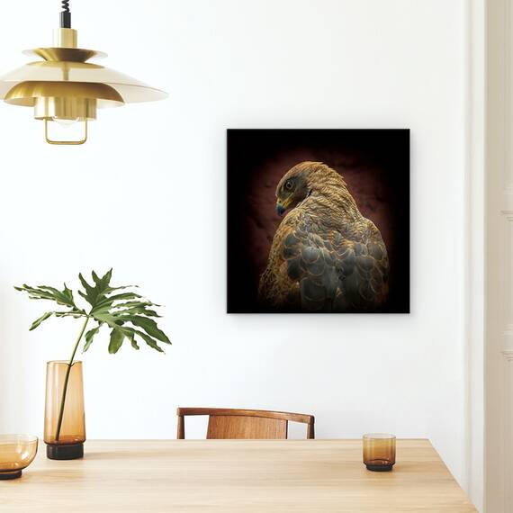 Tablou Canvas - Cineva Sa Se Uite La Mine, Ochi, Pasare, Savana Hawk, Marime: 60 x 60 cm - 4- Roveli