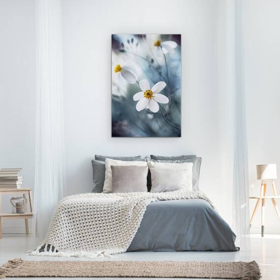 Tablou Canvas - Cosmosul, Macro, Vara, Cosmos, Delicat, Delicate, Marime: 60 x 90 cm - 3- Roveli