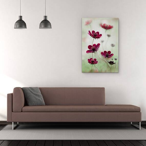Tablou Canvas - Cosmosul Se Inalte, Cosmos, Maroon, Burgundy, Red, Cambs, Marime: 60 x 90 cm - 2- Roveli