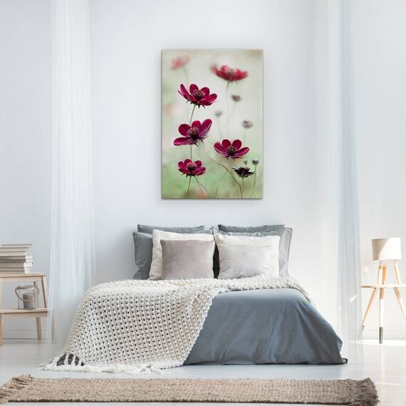 Tablou Canvas - Cosmosul Se Inalte, Cosmos, Maroon, Burgundy, Red, Cambs, Marime: 60 x 90 cm - 3- Roveli