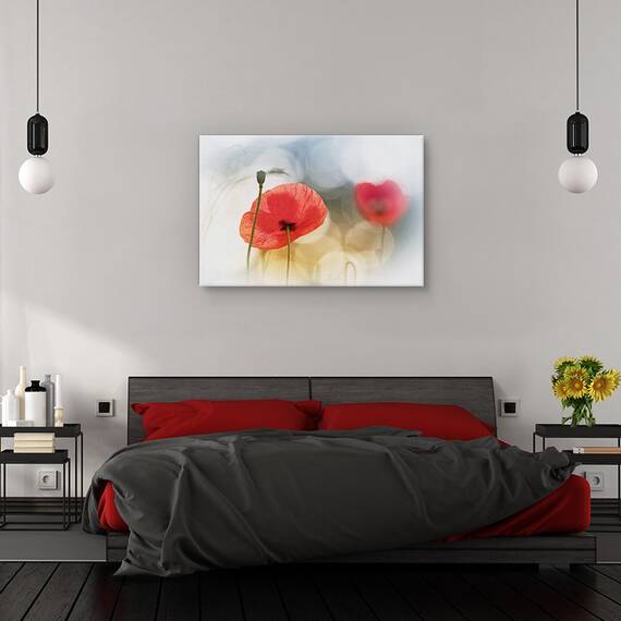 Tablou canvas - Fara stele, Flori, Picaturi, Roua, Pene, Marime: 60 x 90 cm - 3- Roveli