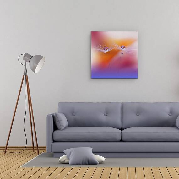 Tablou Canvas - Doua Lumi, Floare, Picatura, Natura Moarta, Macro, Marime: 60 x 60 cm - 2- Roveli