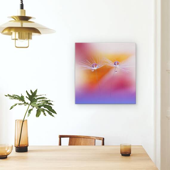 Tablou Canvas - Doua Lumi, Floare, Picatura, Natura Moarta, Macro, Marime: 60 x 60 cm - 4- Roveli