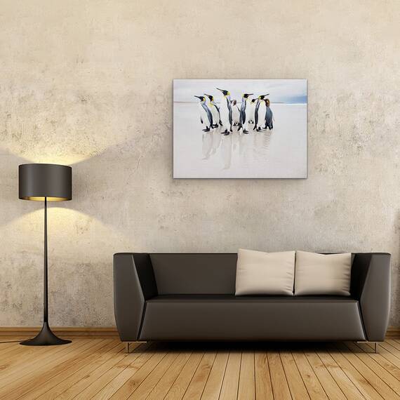 Tablou Canvas - Garda De Corp, Natura, Animal, Pinguin, Salbatic, Plaja, Marime: 50 x 70 cm - 2- Roveli