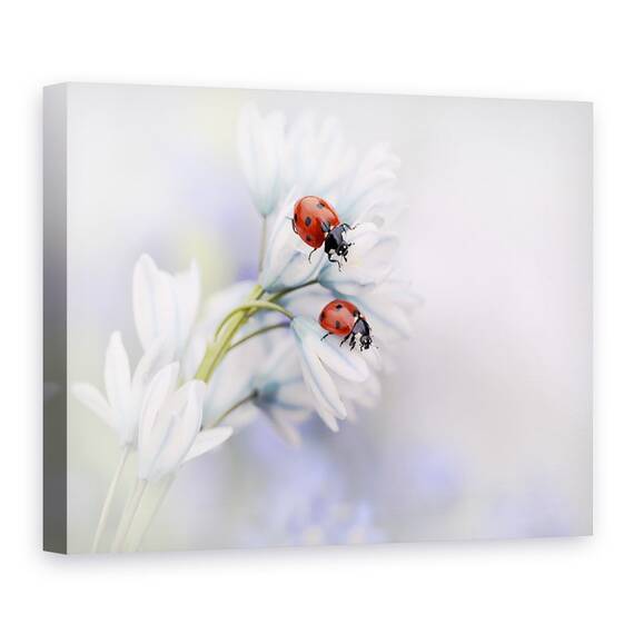 Tablou Canvas - Gargarite, Buburuza, Floare, Marime: 50 x 70 cm - - Roveli