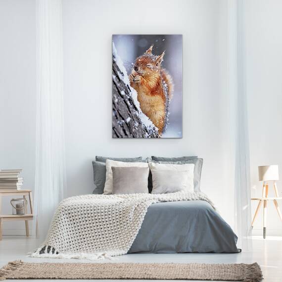 Tablou Canvas - Iarna, Veverita, Fauna Salbatica, Iarna, Zapada, Inghet, Marime: 60 x 90 cm - 3- Roveli