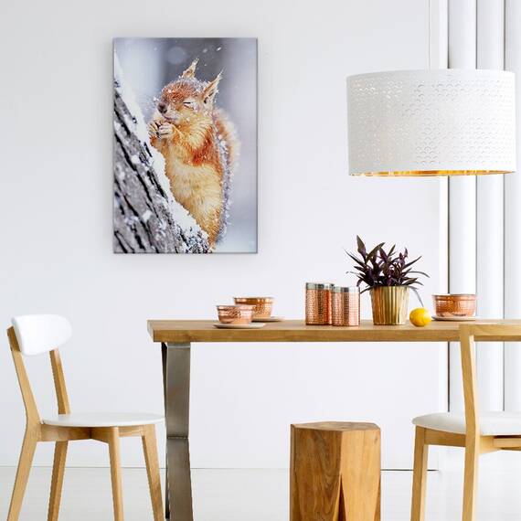 Tablou Canvas - Iarna, Veverita, Fauna Salbatica, Iarna, Zapada, Inghet, Marime: 60 x 90 cm - 4- Roveli
