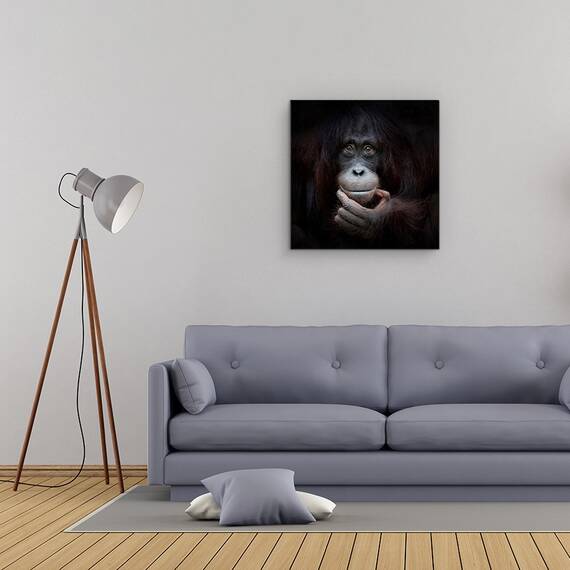Tablou Canvas - Imaginea In Oglinda, Zambet, Maimuta, Fericit, Bucurie, Marime: 60 x 60 cm - 2- Roveli