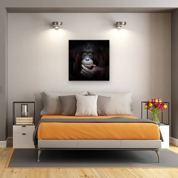 Tablou Canvas - Imaginea In Oglinda, Zambet, Maimuta, Fericit, Bucurie, Marime: 60 x 60 cm - 3- Roveli