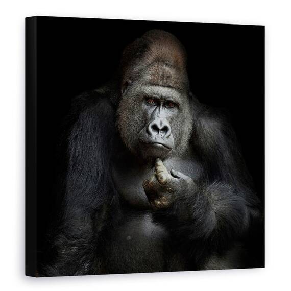 Tablou Canvas - Imho ...., Gorila, Grijuliu, Puternic, Contemplare, Ganditor, Marime: 60 x 60 cm - - Roveli