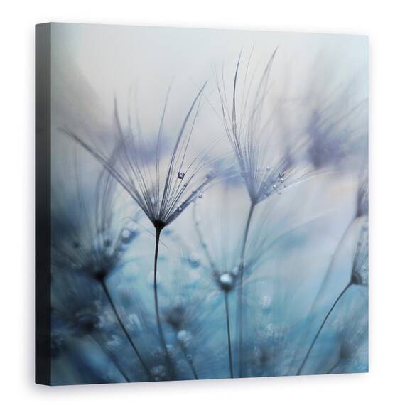 Tablou Canvas - Lacrimi, Picaturi, Roua, Picaturi, Abstract, Pene, Marime: 60 x 60 cm - - Roveli