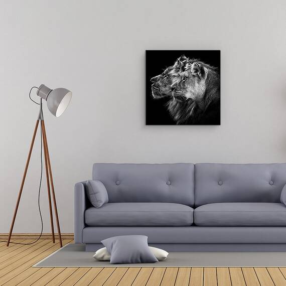 Tablou Canvas - Leu Si Leoaica, Portret, Leu, Leoaica, Safari, Familie, Puternic, Marime: 60 x 60 cm - 2- Roveli