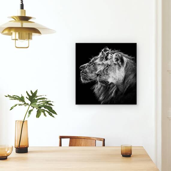 Tablou Canvas - Leu Si Leoaica, Portret, Leu, Leoaica, Safari, Familie, Puternic, Marime: 60 x 60 cm - 4- Roveli