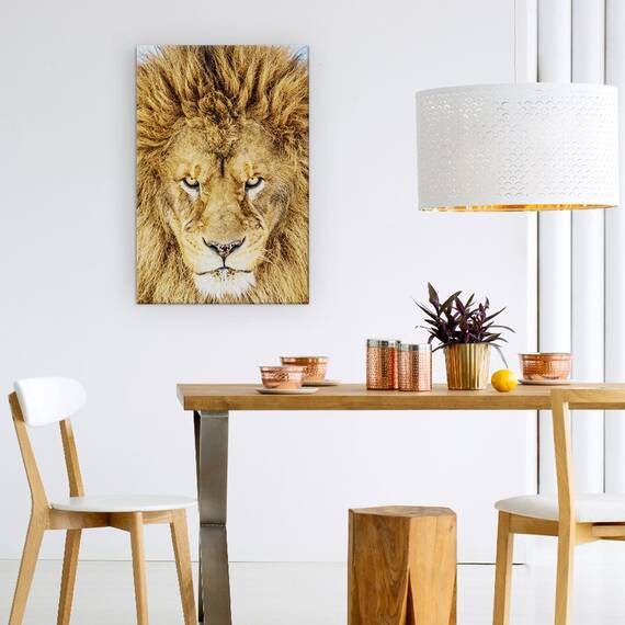 Tablou Canvas - Leul Serios, Leu, Natura Salbatica, Animal, Pisica, Par, Marime: 60 x 90 cm - 4- Roveli