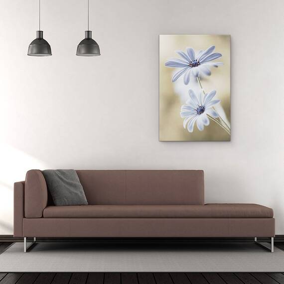 Tablou Canvas - Margarete De Pelerina, Flori, Bokeh, Macro, Delicat, Alb, Marime: 60 x 90 cm - 2- Roveli