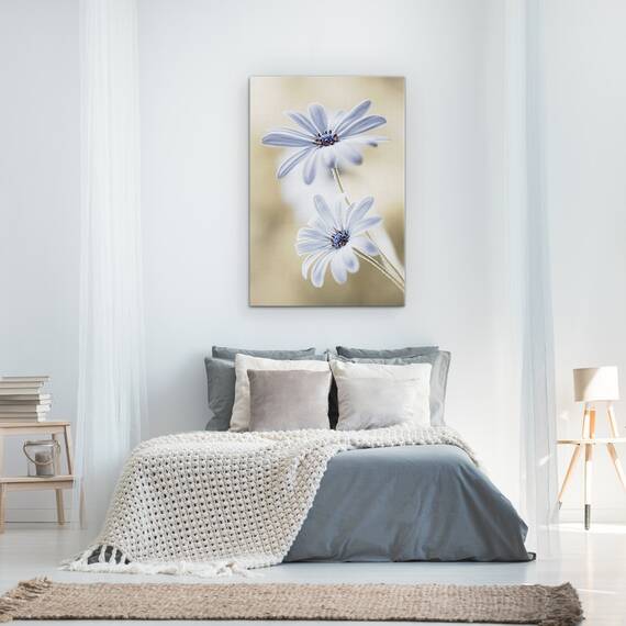 Tablou Canvas - Margarete De Pelerina, Flori, Bokeh, Macro, Delicat, Alb, Marime: 60 x 90 cm - 3- Roveli