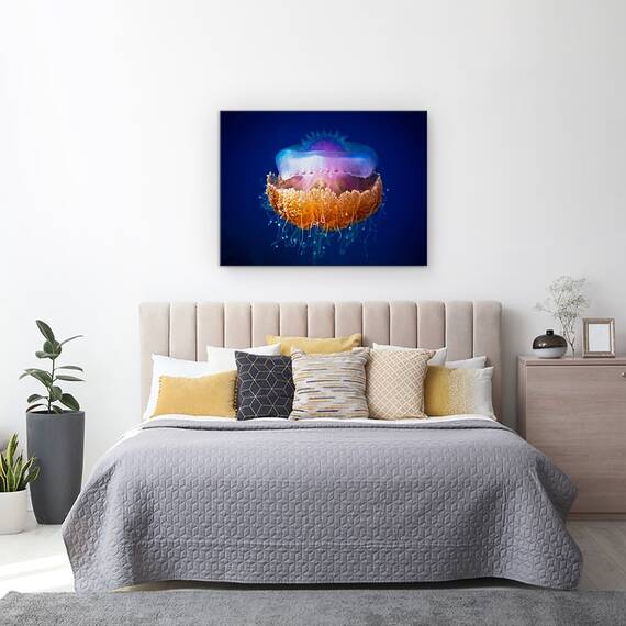 Tablou Canvas - Meduza, Maldive, Albastru, Violet, Marime: 50 x 70 cm - 3- Roveli