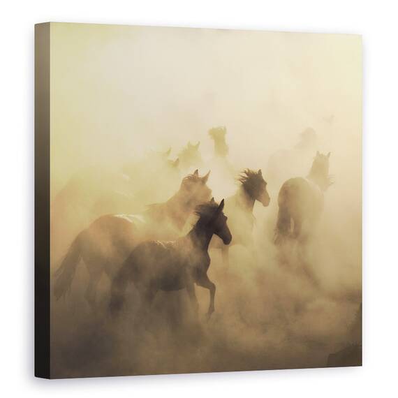 Tablou Canvas - Migrarea Cailor, Cappadocia, Praf, Marime: 60 x 60 cm - - Roveli