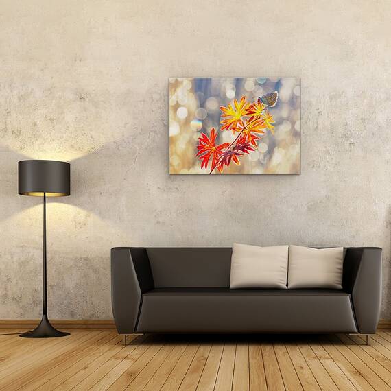 Tablou Canvas - Momente Septembrie, Fluture, Insecta, Rosu, Toamna, Marime: 60 x 80 cm - 2- Roveli