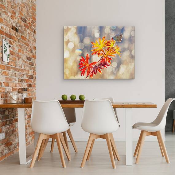 Tablou Canvas - Momente Septembrie, Fluture, Insecta, Rosu, Toamna, Marime: 60 x 80 cm - 4- Roveli