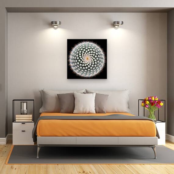 Tablou Canvas - Notocactus Scopa, Cactus, Spines, Abstract, Radial, Marime: 60 x 60 cm - 3- Roveli