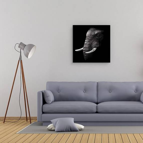 Tablou Canvas - Portret, Elefant, Animal, Intuneric, Trunchi, Experienta, Marime: 60 x 60 cm - 2- Roveli