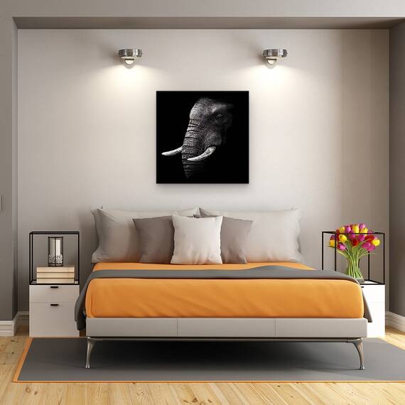 Tablou Canvas - Portret, Elefant, Animal, Intuneric, Trunchi, Experienta, Marime: 60 x 60 cm - 3- Roveli