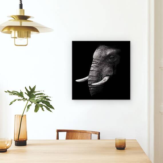 Tablou Canvas - Portret, Elefant, Animal, Intuneric, Trunchi, Experienta, Marime: 60 x 60 cm - 4- Roveli