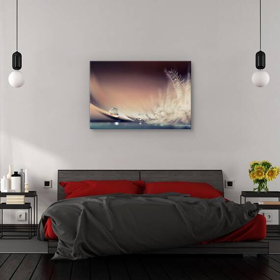 Tablou canvas - Povestea picaturilor, Flori, Pene, Moale, Delicat, Marime: 40 x 60 cm - 3- Roveli