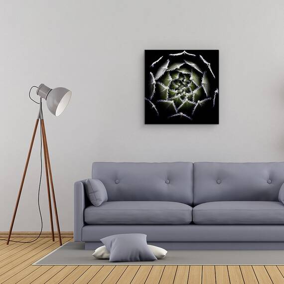 Tablou Canvas - Rozeta Sempervivum, Rosette, Suculent, Sempervivum,Plante, Marime: 60 x 60 cm - 2- Roveli