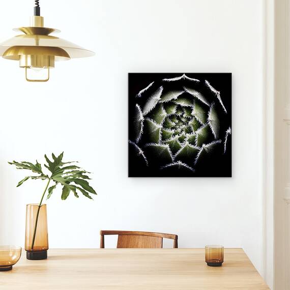 Tablou Canvas - Rozeta Sempervivum, Rosette, Suculent, Sempervivum,Plante, Marime: 60 x 60 cm - 4- Roveli