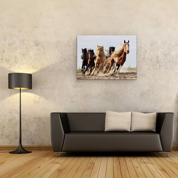 Tablou Canvas - Sasele Norocos, Cal, Actiune, Animale, Putere, Viteza, Marime: 50 x 70 cm - 2- Roveli