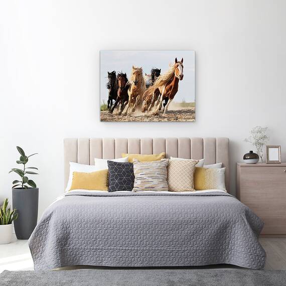 Tablou Canvas - Sasele Norocos, Cal, Actiune, Animale, Putere, Viteza, Marime: 50 x 70 cm - 3- Roveli