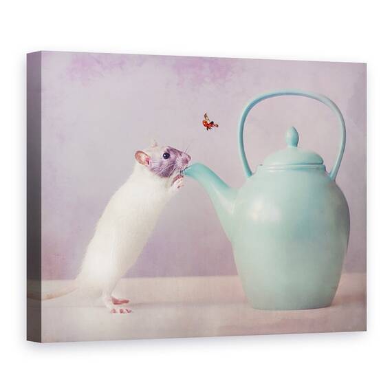 Tablou Canvas - Snoozy, Sobolan, Rozatoare, Ceainic,  50 x 70 cm, Marime: 60 x 80 cm - - Roveli