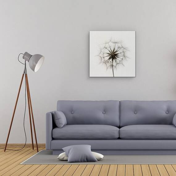 Tablou Canvas - Tragopogon, Papadie, Marime: 60 x 60 cm - 2- Roveli