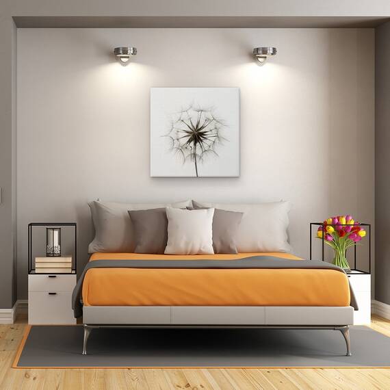 Tablou Canvas - Tragopogon, Papadie, Marime: 60 x 60 cm - 3- Roveli