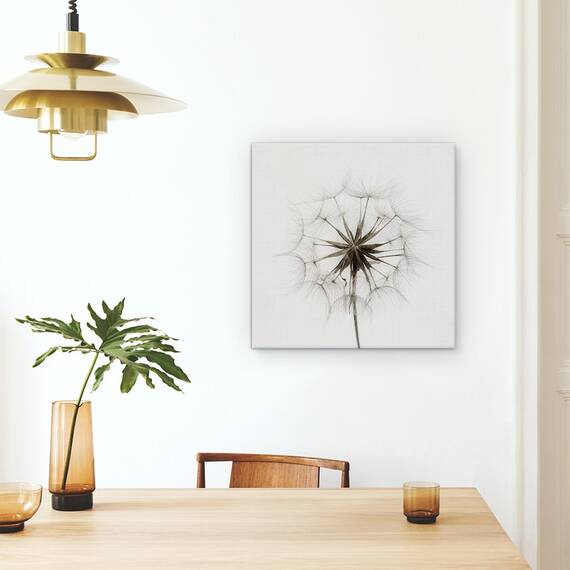 Tablou Canvas - Tragopogon, Papadie, Marime: 60 x 60 cm - 4- Roveli