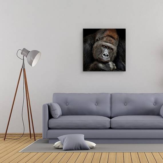 Tablou Canvas - Un Moment In Contact, Gorila, Animale, Marime: 60 x 60 cm - 2- Roveli