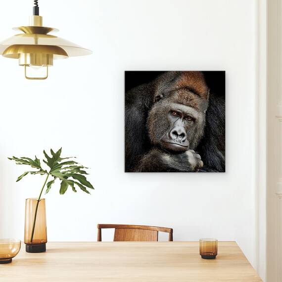 Tablou Canvas - Un Moment In Contact, Gorila, Animale, Marime: 60 x 60 cm - 4- Roveli