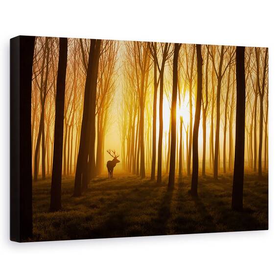 Tablou canvas - California vazuta de sus, Peisaj, Aerian, Nisip, Rau, Marime: 60 x 90 cm - - Roveli