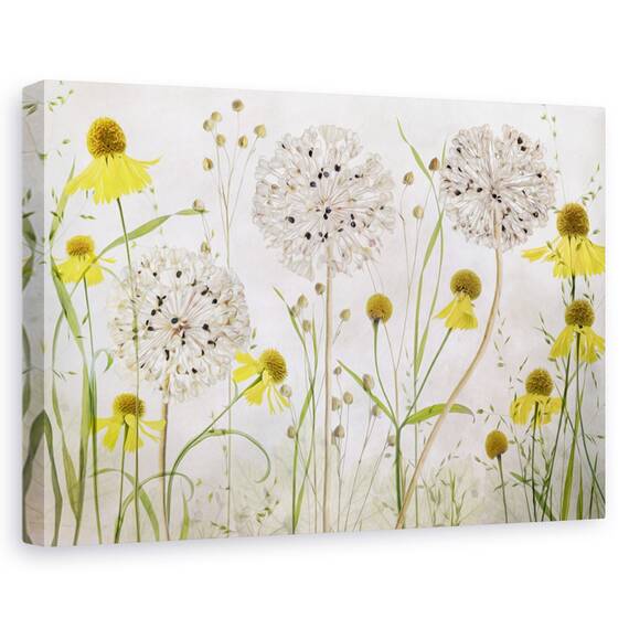 Tablou canvas - Camp de lavanda, Peisaj, Flori, Franta, Marime: 60 x 90 cm - - Roveli