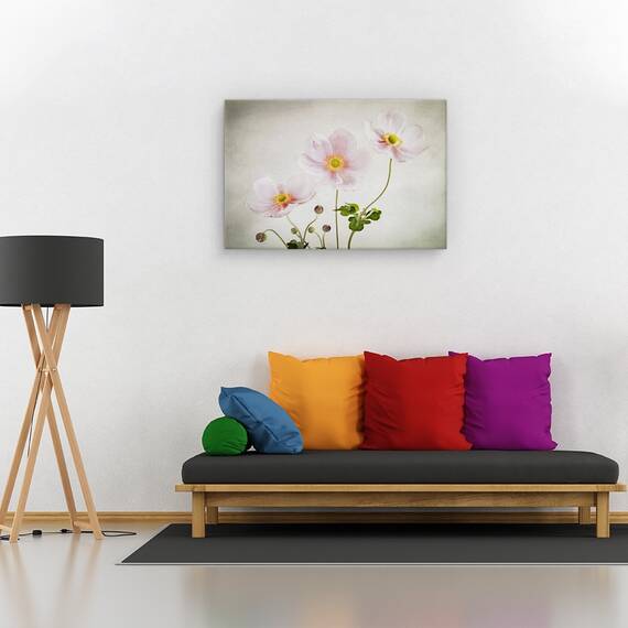 Tablou canvas - Anemone De Caen, Flori, Gradina, Marime: 60 x 90 cm - 2- Roveli