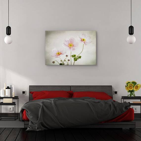 Tablou canvas - Anemone De Caen, Flori, Gradina, Marime: 60 x 90 cm - 3- Roveli