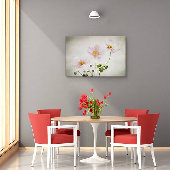 Tablou canvas - Anemone De Caen, Flori, Gradina, Marime: 60 x 90 cm - 4- Roveli