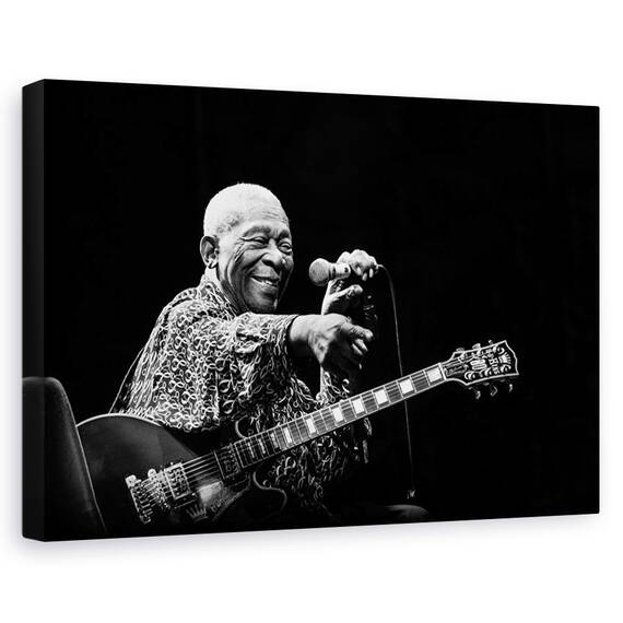 Tablou canvas - Povestea picaturilor, Flori, Pene, Moale, Delicat, Marime: 60 x 90 cm - - Roveli