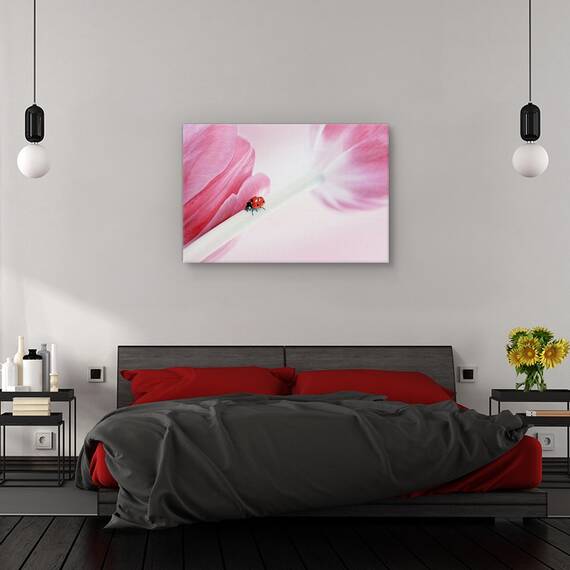 Tablou canvas - Campul ireal Canola, Flori, Copac, Nor, Marime: 60 x 90 cm - 3- Roveli