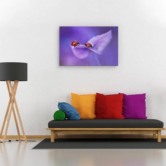Tablou canvas - Anemone Japonica, Natura moarta, Flori, Marime: 60 x 90 cm - 2- Roveli