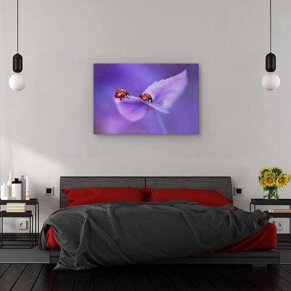 Tablou canvas - Anemone Japonica, Natura moarta, Flori, Marime: 60 x 90 cm - 3- Roveli